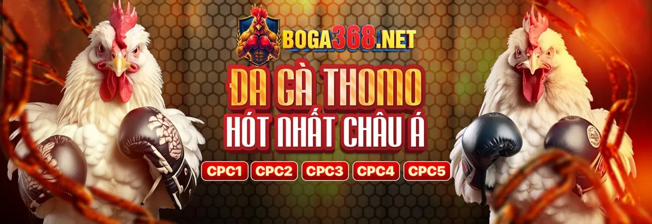 Ưu điểm vượt trội của nền tảng cá cược mcw818 win