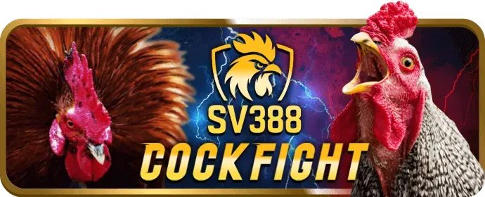 Hướng dẫn chơi slot tại mcw818 win